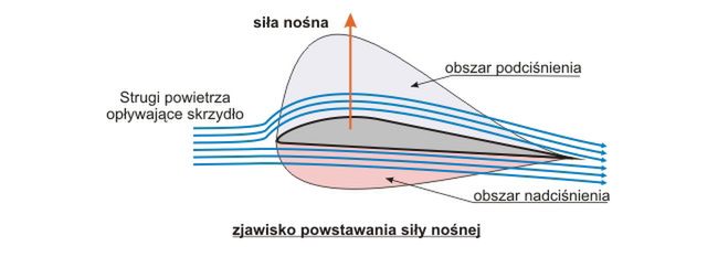 Zdjęcie ilustracyjne do artykułu