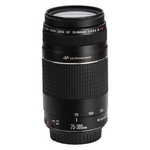 Canon EF 75-300mm f/4.0-5.6 III USM