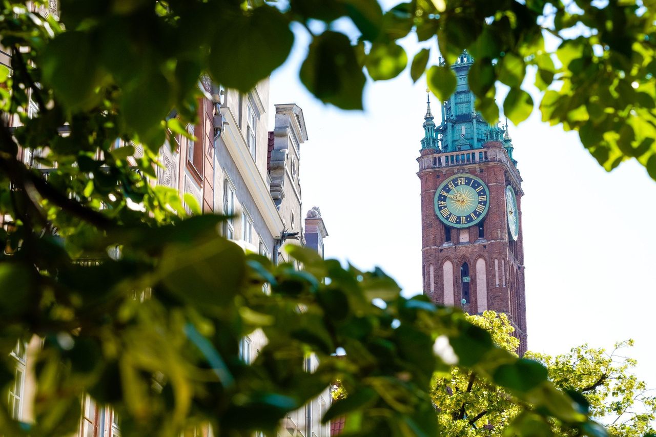Sześć polskich skarbów może niebawem trafić na listę UNESCO. Poznaj je wszystkie
