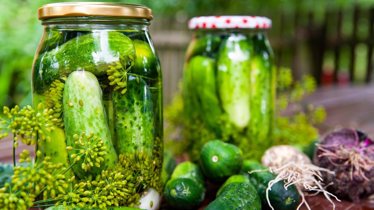 Sposób Tomka Strzelczyka na ogórki kiszone