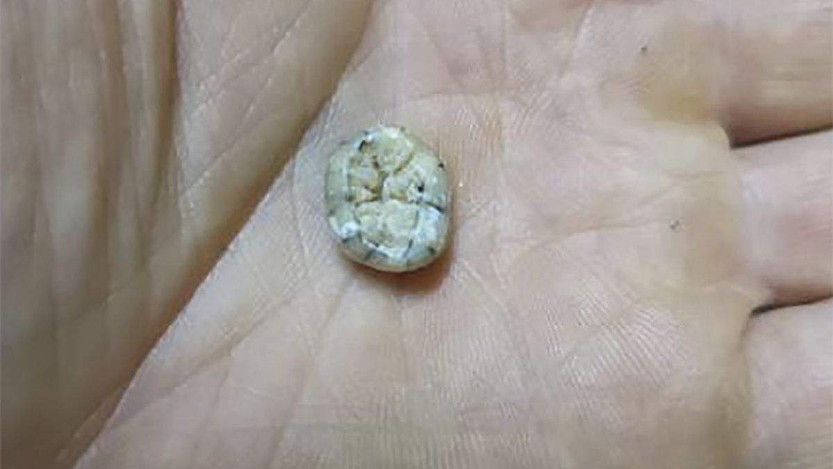 Naukowcy natrafili w Laosie na ludzki ząb sprzed 130 tys. lat