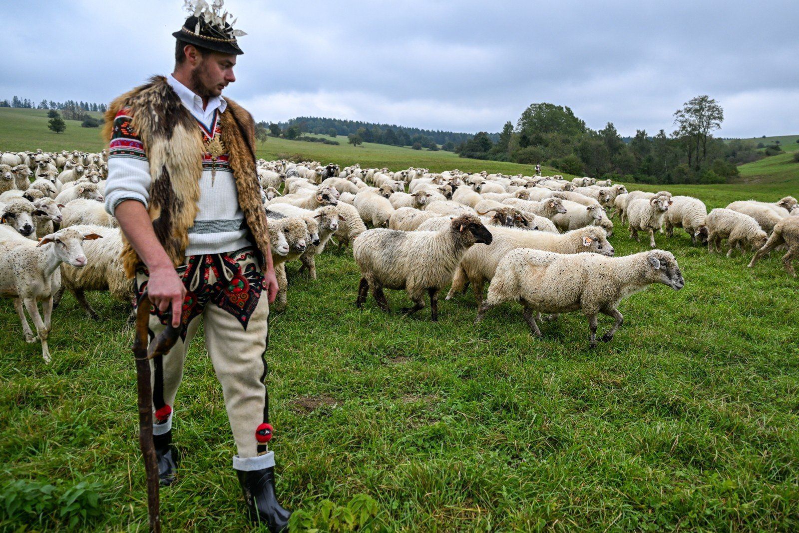 Wirtualna Polska