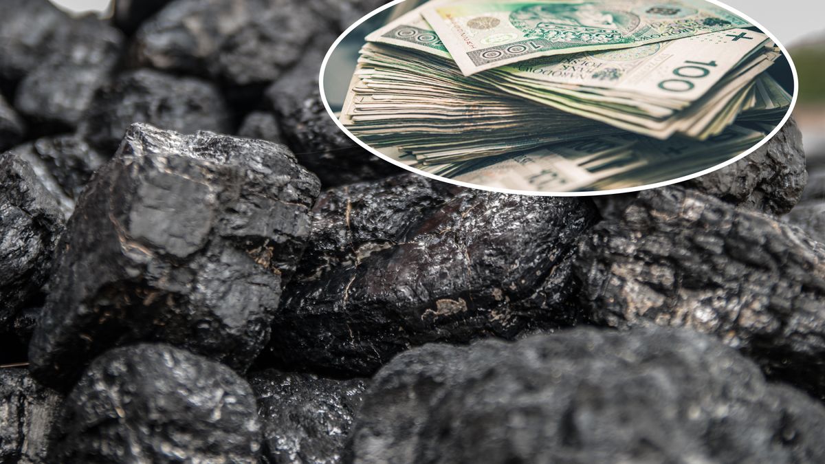 Węgiel, pieniądze, złotówka, złoty, dodatek węglowy