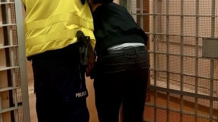 policja