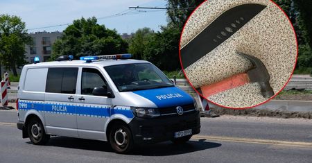 Biegał z maczetą i młotkiem po Willowej, niszczył zaparkowane auta. 24-latek w rękach lubelskiej policji