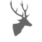 glimpses icon