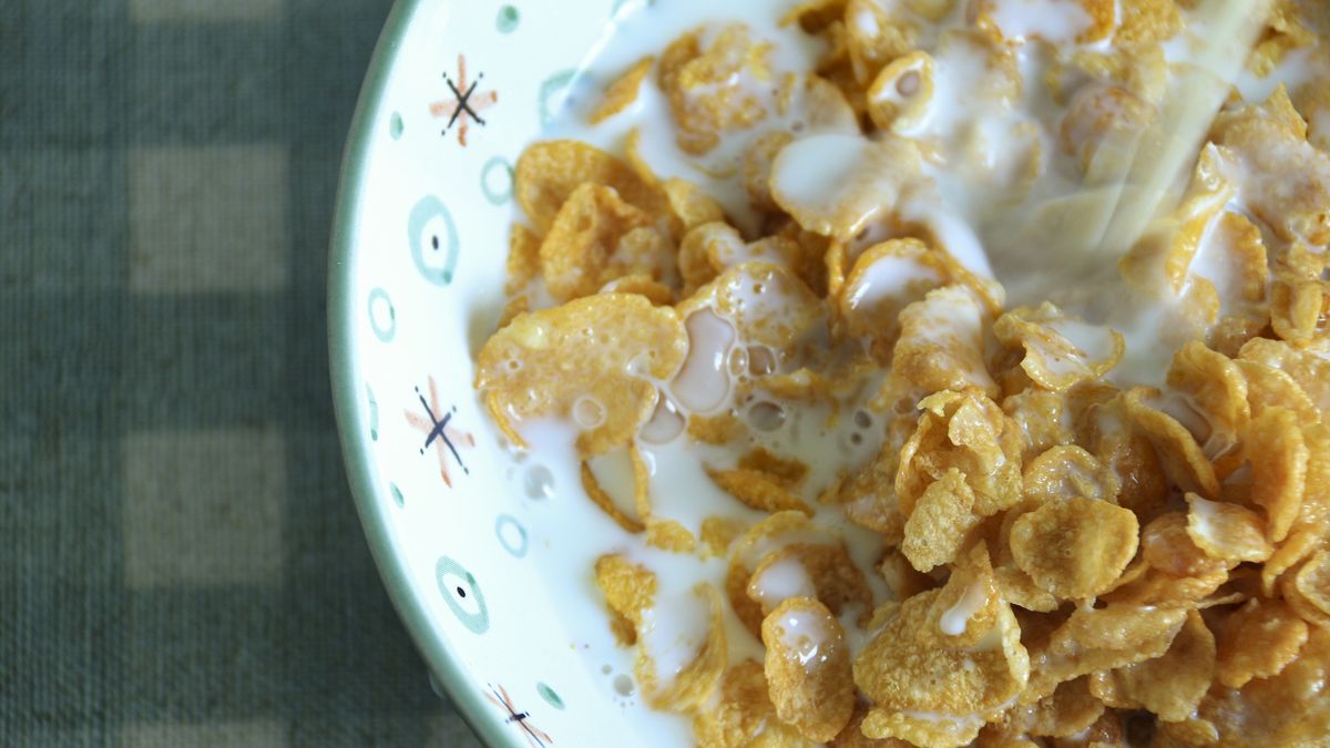 High Angle View of a Bowl of Corn Flakes on a Tosca and White Checkered Pattern Tablecloth
This is partial view of a bowl of dry corn flakes while cold milk is being poured into. It's very practical for a quick breakfast. I love that crispy texture, and sound.
automidori