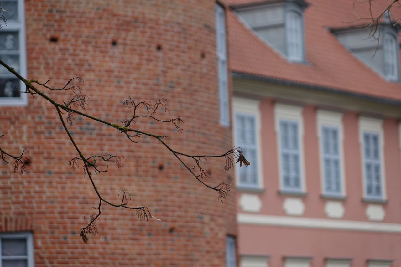 Plastyka nieostrości – 200 mm, f/2,8.© Paweł Baldwin