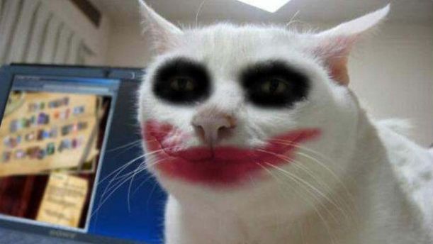 Batman: Arkham City to około 40 godzin gry 1