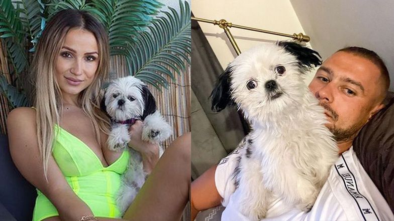 Awantura o psa Sylwii Madeńskiej 