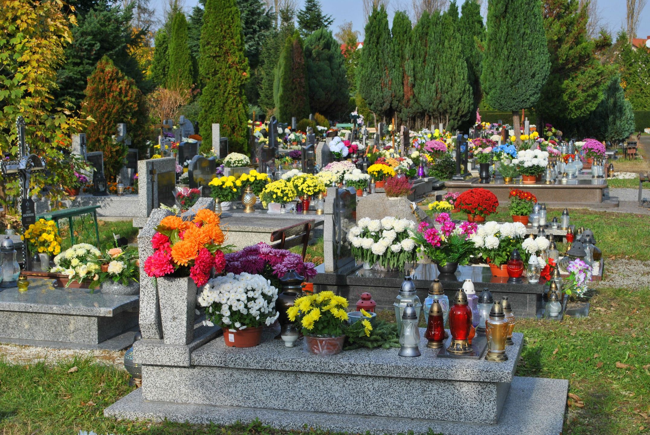 Picasa
cmentarz, grób, groby, pochówek, BINARY<(21) bytes>, BINARY<(8) bytes>, kwiaty, chryzantema, nagrobek, BINARY<(8) bytes>, wspomnienia, nostalgia