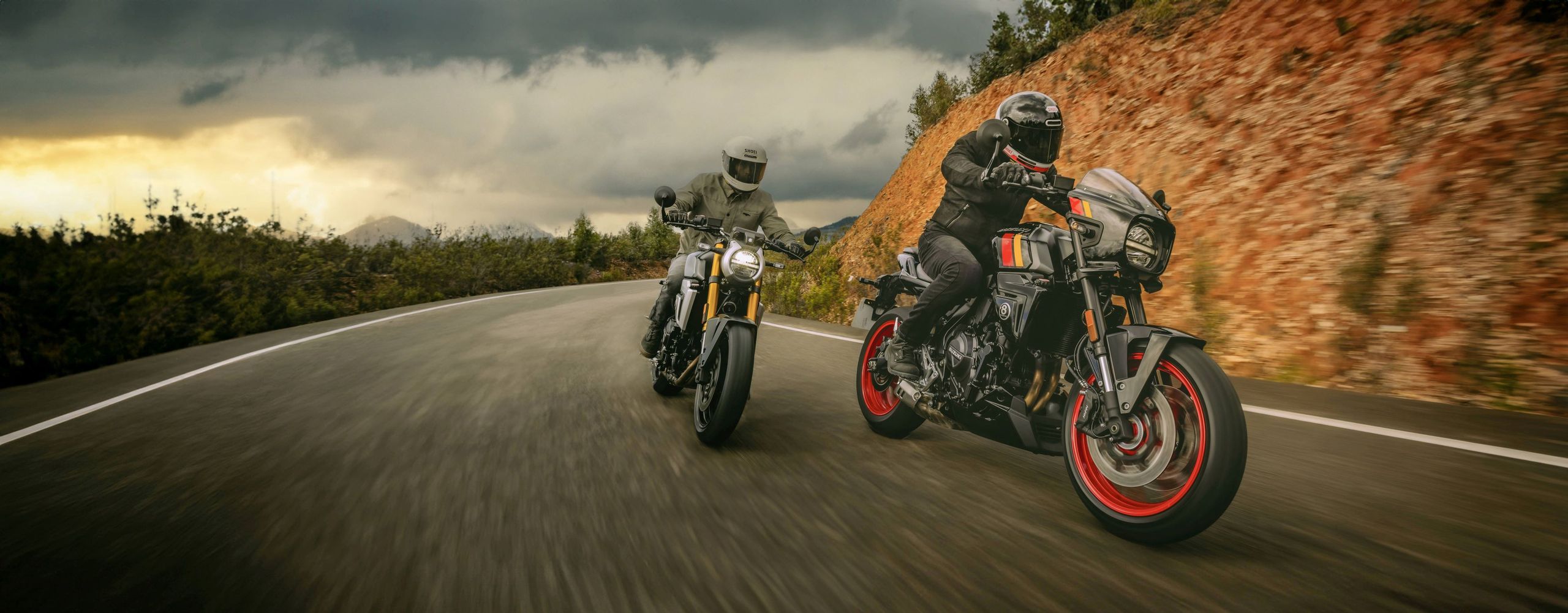 Suzuki GSX-8T i 8TT