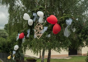 Bramy weselne na Sądeczczyźnie. Taka jest ich historia