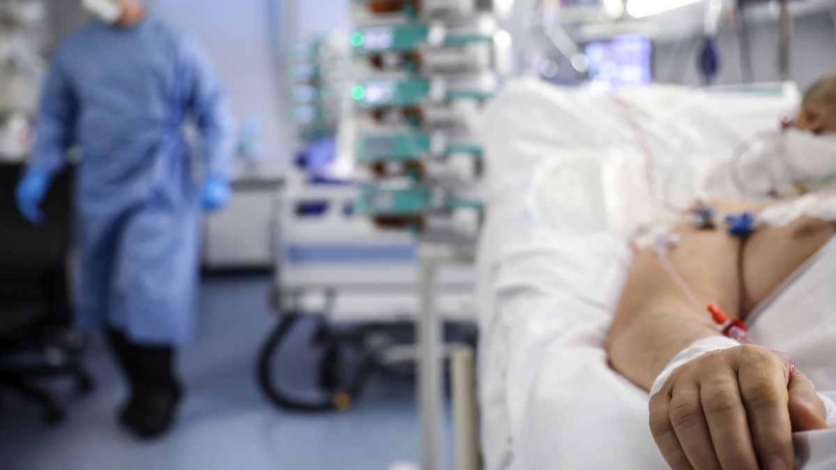 Newsroom. Program specjalny WP