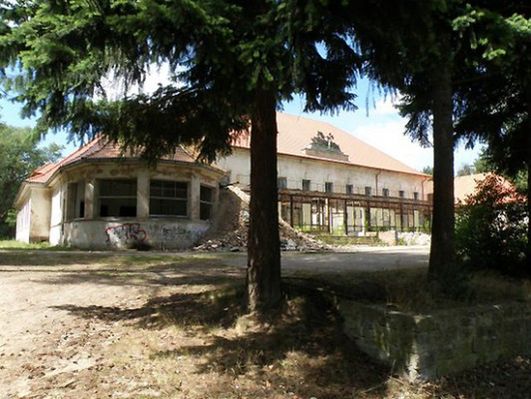 Obraz