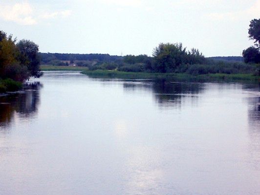 Obraz