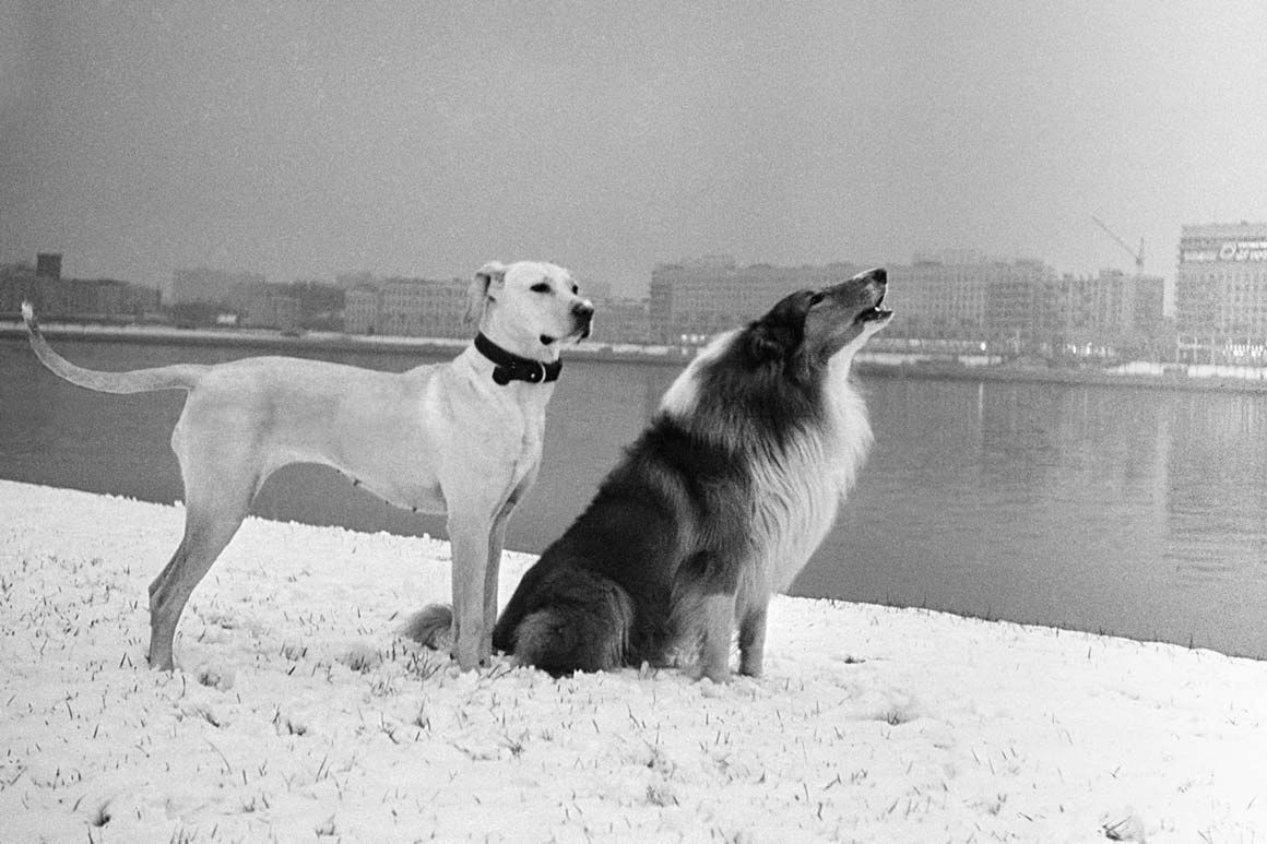 Masza Iwaszincowa, czyli ”rosyjska Vivan Maier”. Znaleziono 30 000 negatywów 12