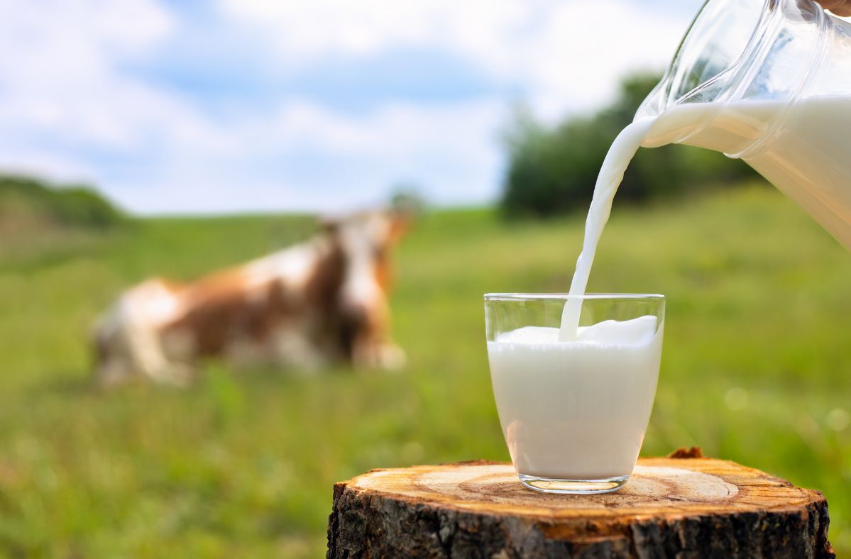 The teenager was expelled from school for spilling milk.