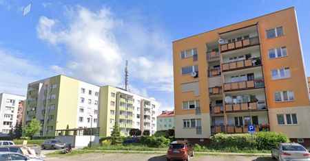 Groza w Poznaniu. Polują na ludzi