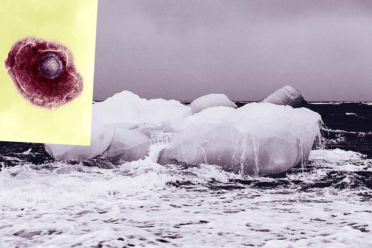 Tajemnicze patogeny w topniejącym lodzie. Mogą być gorsze niż koronawirus