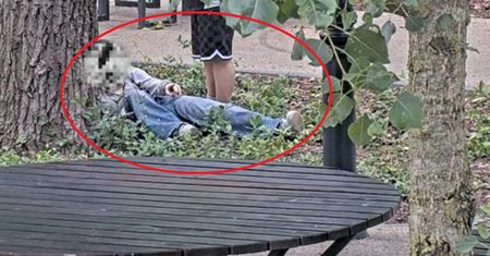 Dramatyczne sceny w Łodzi. 14-latka leżała pod drzewem