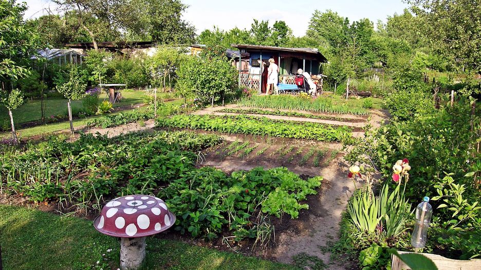 drzewa, park, krajobraz, fotele, lato, niebo, trawnik, mebel, architektura, patio, drewniane, droga, doba, kwiatki, stolik, czas wolny, relax, odosobnienie, przyroda, owoce, warzywa, odpoczynek, wypoczynek, greenery, landscape, armchairs, summer, sky, lawn, furniture, wooden, road, day, flowers, flower beds, leisure, seclusion, nature, fruit, vegetables, rest, fresh air