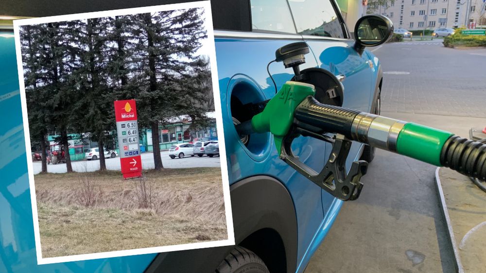 Zdjęcie ilustracyjne do artykułu