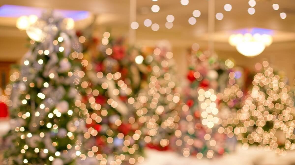 Choinki, Bokeh, Boże narodzenie