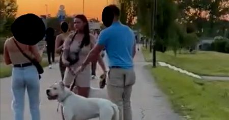 Pies pogryzł mężczyznę na bulwarach wiślanych. Policja szuka właścicielki