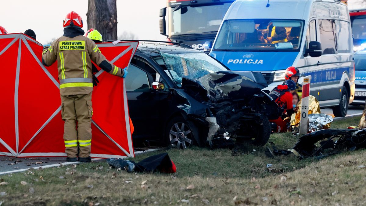 Tomasz Wojtasik
droga wojewódzka, drzewo, kierowca, ofiara, osobowy, osobówka, policja, samochód, wypadek, wypadku