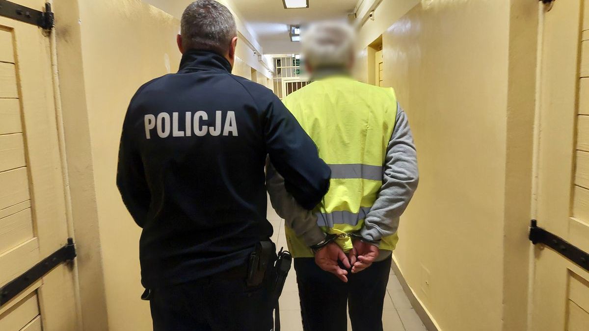 Kierował tirem pomimo zakazu - został wydalony z Polski