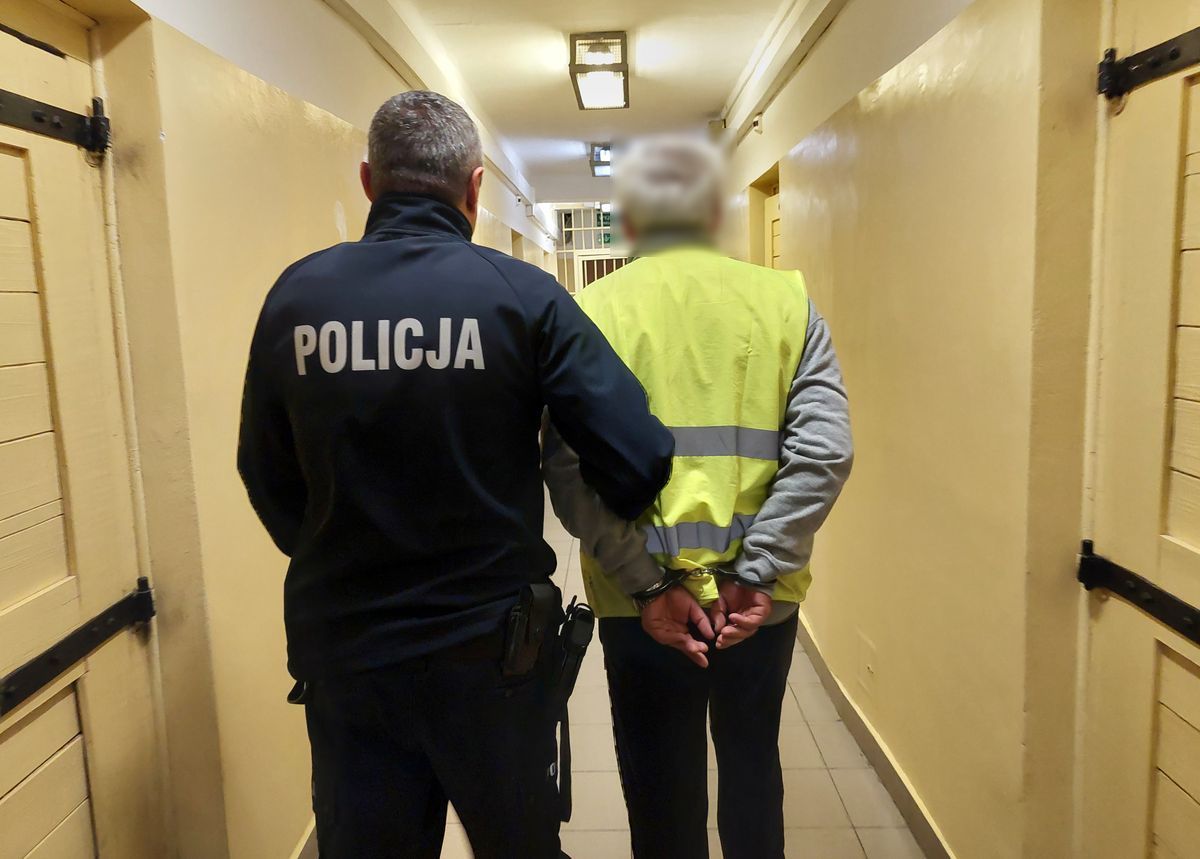 Jechał tirem w stronę granicy. Kontrola drogowa zakończyła się wydaleniem 50-latka z Polski