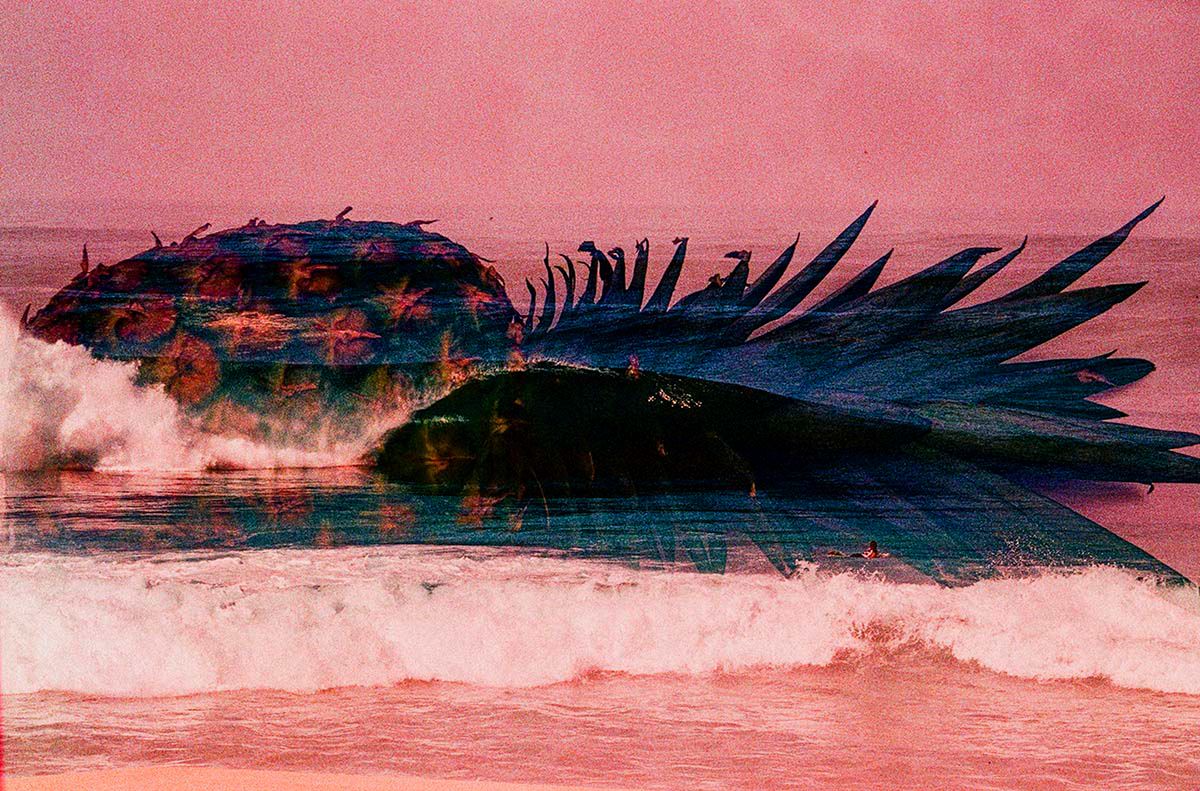 Sztuka surferska - zobacz podwójne ekspozycje Aarona Checkwooda 3