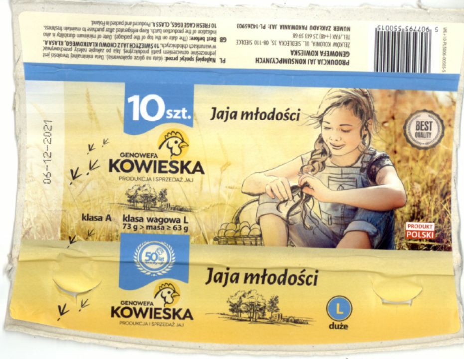 Salmonella w jajkach 