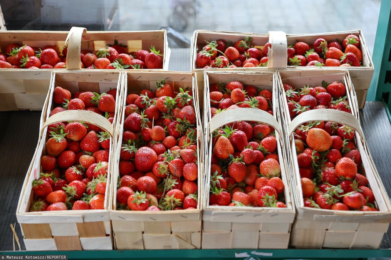 Ceny truskawek zaskoczyły. Ekspert wskazał powód. Mówi, co nas czeka