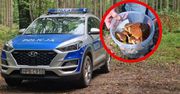 Największy błąd grzybiarza. Policja wydała specjalną instrukcję