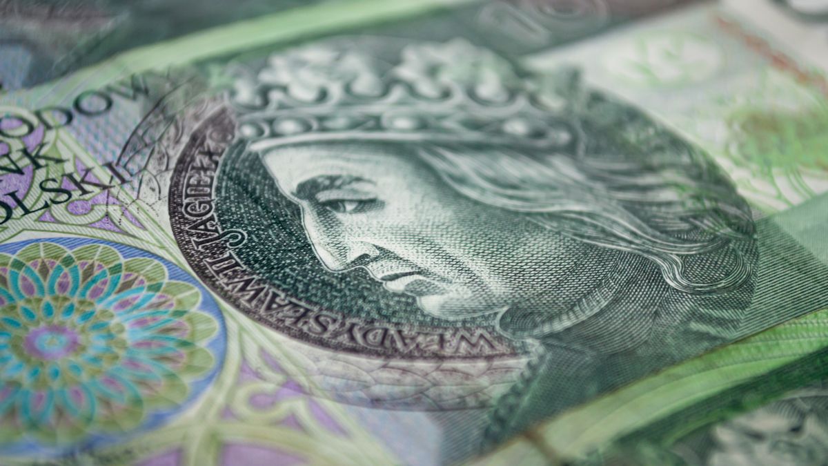 One hundred zloty banknotes. Narodowy Bank Polski. Closeup photo
One hundred zloty banknotes. Narodowy Bank Polski. Closeup photo
Maksym Kapliuk
money, background, pln, hundred, closeup, 100, one, polski, zlotowka, stowka