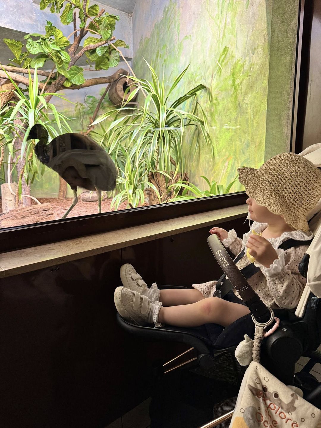 Jakub Rzeźniczak psioczy na warszawskie ZOO