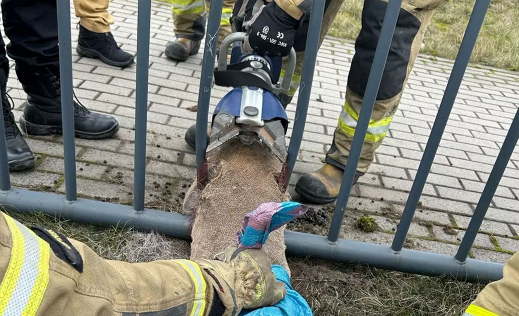 Boli od samego patrzenia. Dynamiczna interwencja strażaków