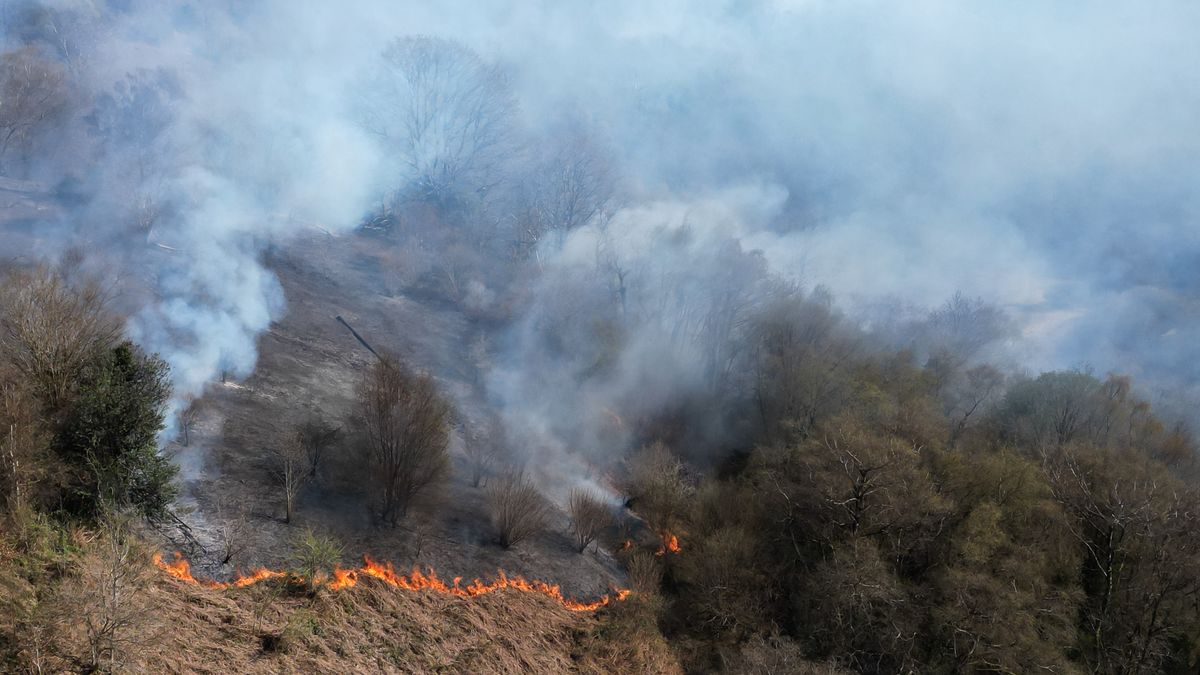 Pożary w Walii w kwietniu 2025