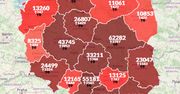 Koronawirus w Polsce. Rekord zakażeń i zgonów. Sprawdź najnowsze dane [Aktualna mapa]