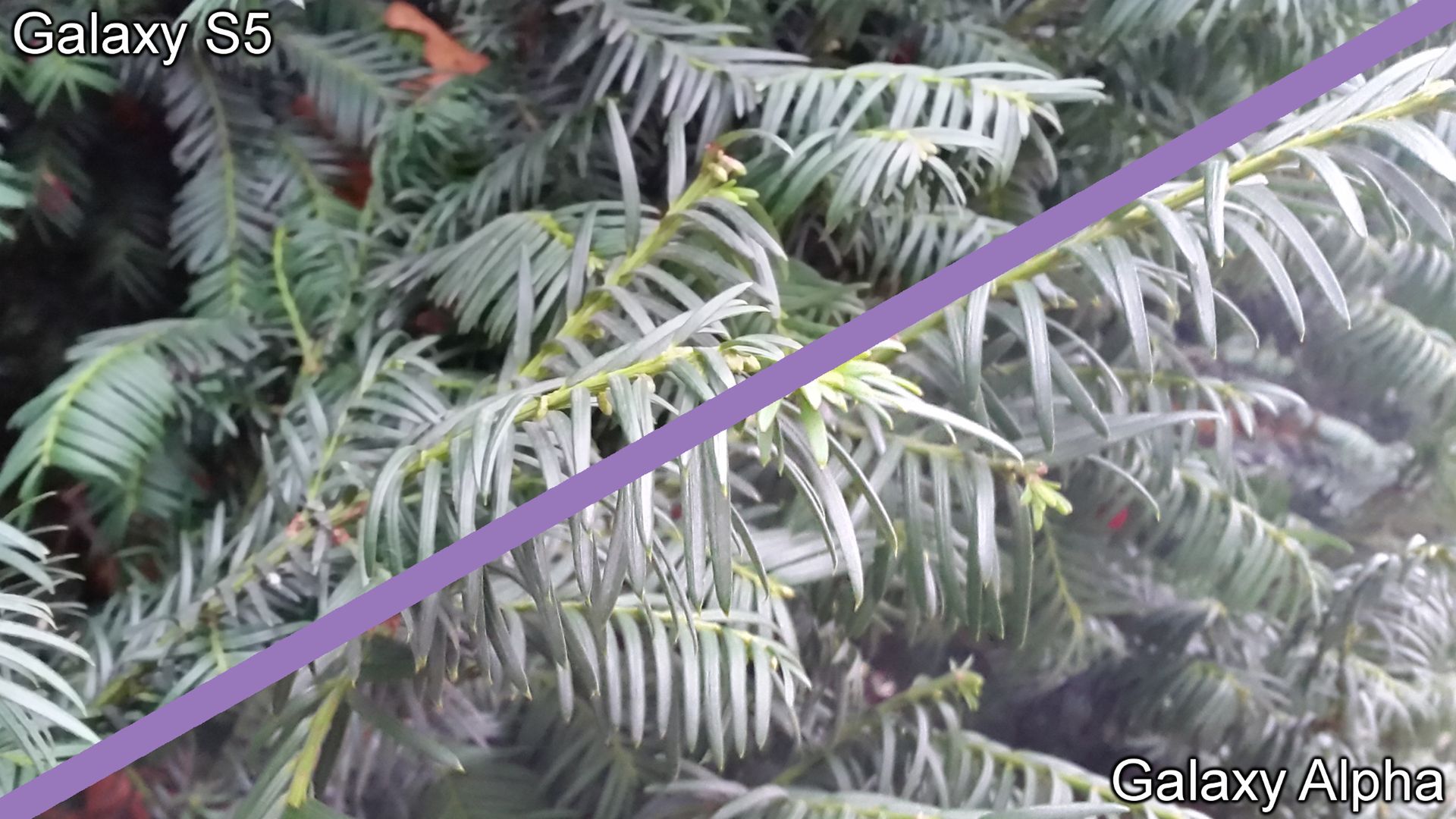 Galaxy S5 vs Galaxy Alpha - porównanie 23