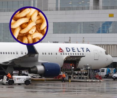 Obrzydliwy bagaż popsuł podróż. Samolot wrócił na lotnisko