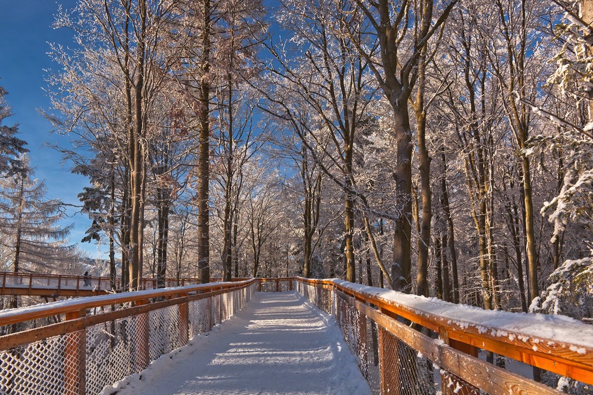 Wieża widokowa w Krynicy-Zdroju, fot. arch. UMWM