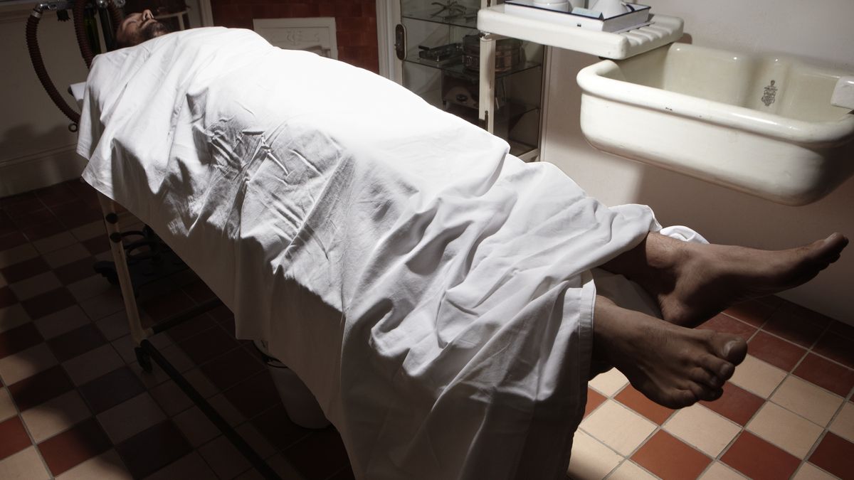 Styl życia ma kluczowy wpływ na mózg