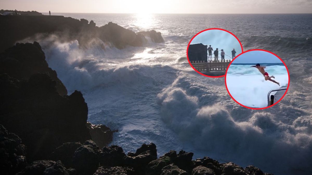 Na nagraniach widać, że turyści niczego się nie boją