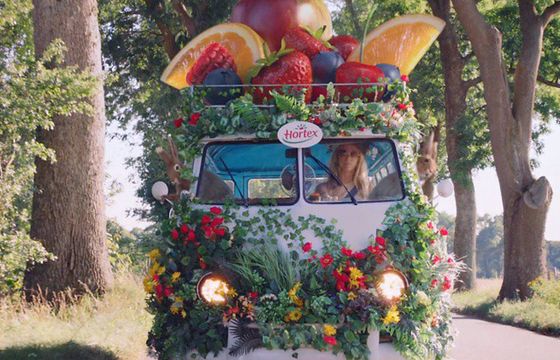 Hortex wciągnięty w kryzys przez byłego współpracownika Pyta.pl. Jak wyjść z kryzysu fundowanego przez osoby trzecie?