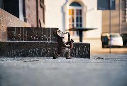 Kolejna myszka w Bydgoszczy. To może skończyć się głośnym procesem