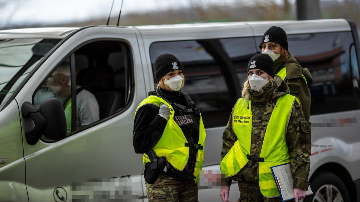 9-osobowe busy obsługują nie tylko ruch przygraniczny, ale i dłuższe trasy, np. do Zjednoczonego Królestwa