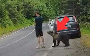 Nie widział zagrożenia? Nagranie z Rumunii obiegło sieć